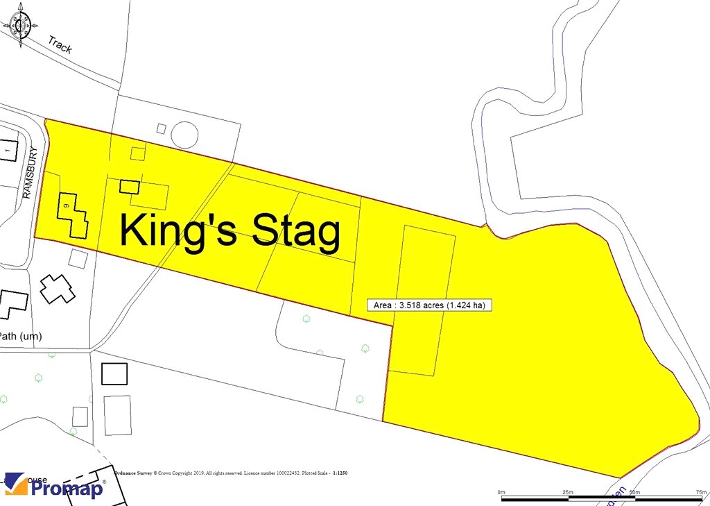 Siteplan - Ramsbury, Kings Stag, Sturminster Newton, Dorset, DT10 2AZ